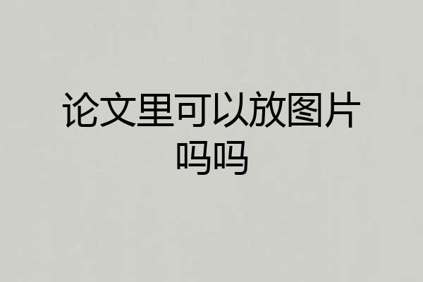 论文里可以放图片吗吗