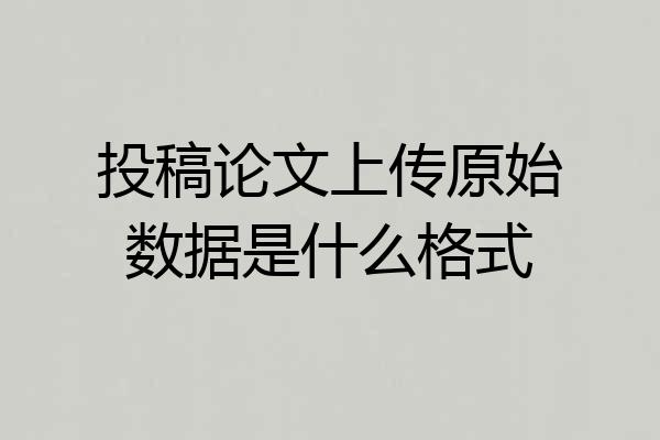 投稿论文上传原始数据是什么格式