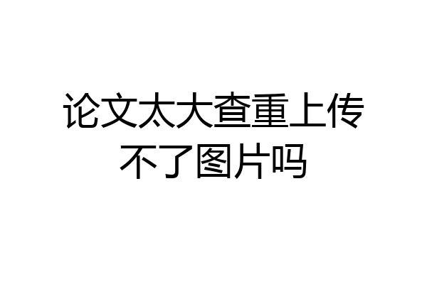 论文太大查重上传不了图片吗