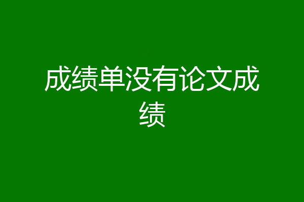 成绩单没有论文成绩