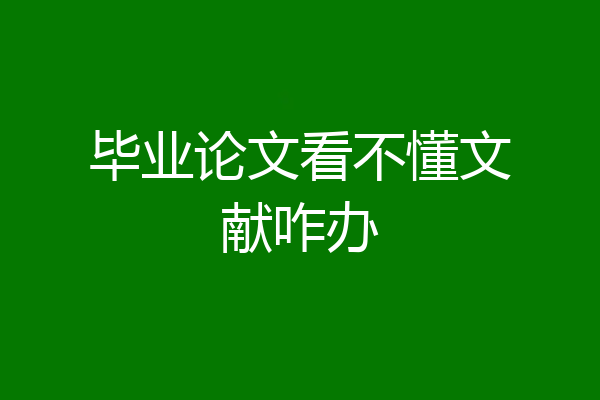毕业论文看不懂文献咋办