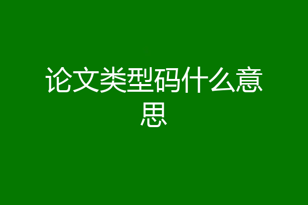 论文类型码什么意思