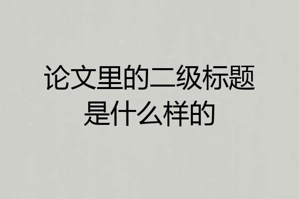 论文里的二级标题是什么样的