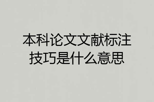 本科论文文献标注技巧是什么意思