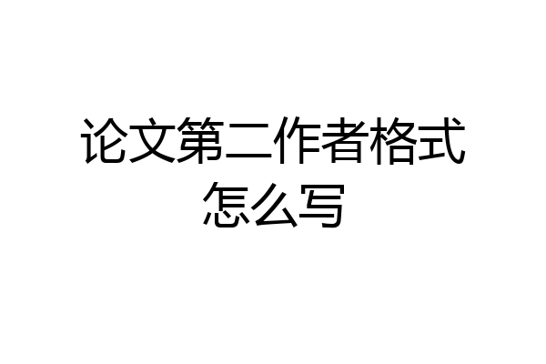 论文第二作者格式怎么写