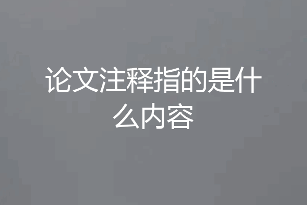 论文注释指的是什么内容