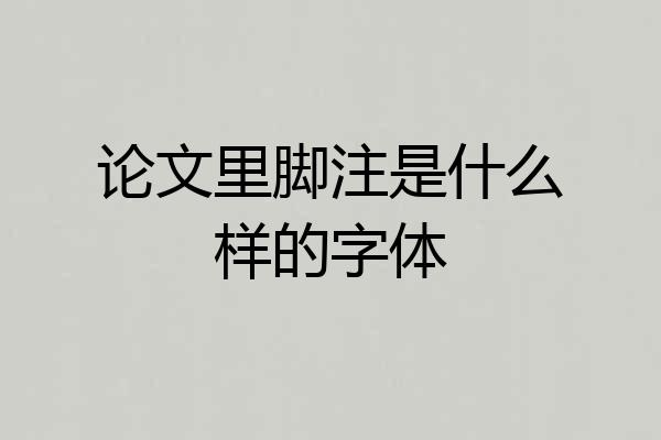 论文里脚注是什么样的字体