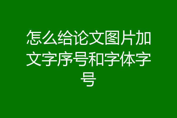 怎么给论文图片加文字序号和字体字号