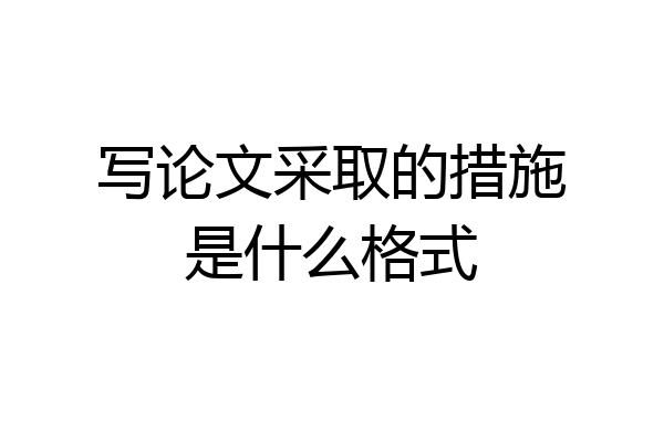 写论文采取的措施是什么格式