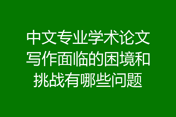 中文专业学术论文写作面临的困境和挑战有哪些问题