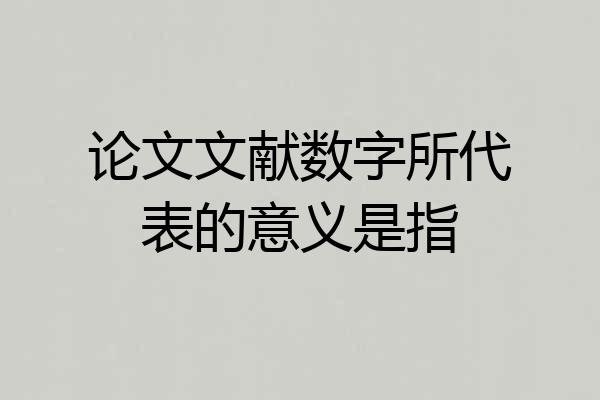 论文文献数字所代表的意义是指