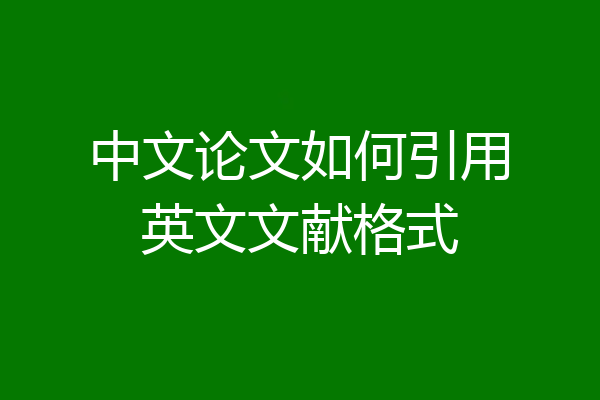 中文论文如何引用英文文献格式