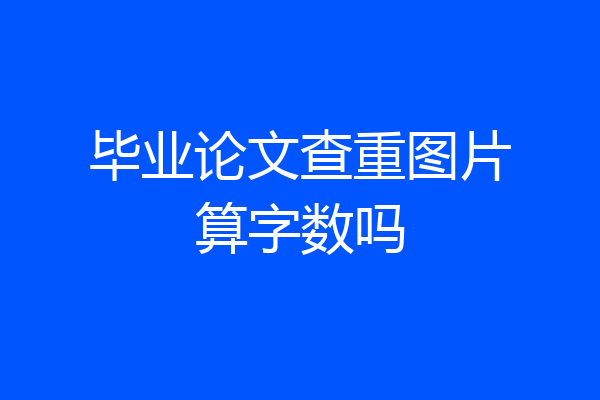 毕业论文查重图片算字数吗