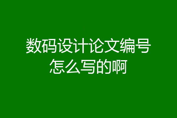 数码设计论文编号怎么写的啊