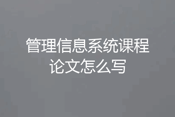 管理信息系统课程论文怎么写