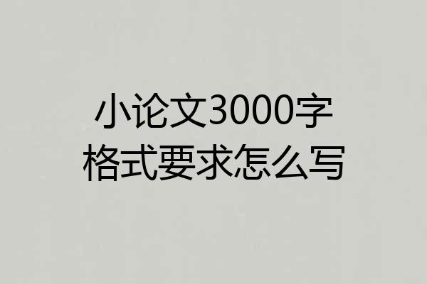 小论文3000字格式要求怎么写