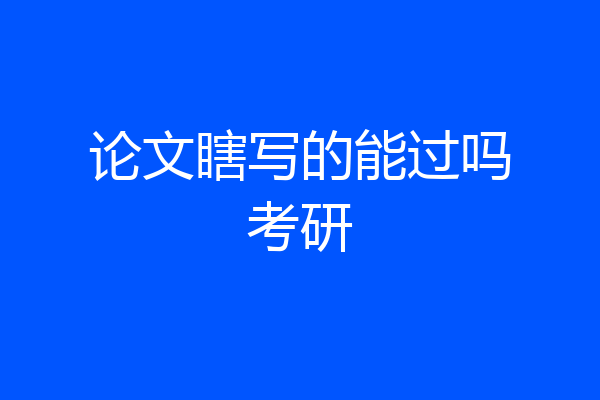 论文瞎写的能过吗考研