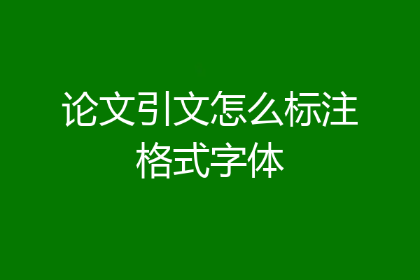 论文引文怎么标注格式字体