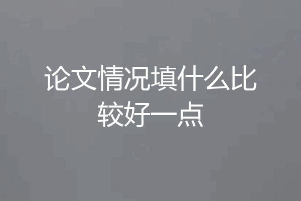 论文情况填什么比较好一点