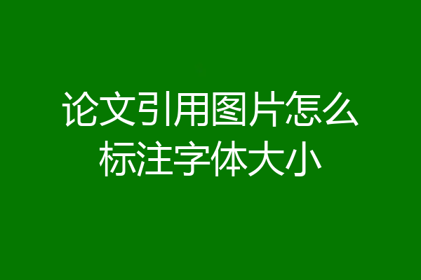 论文引用图片怎么标注字体大小