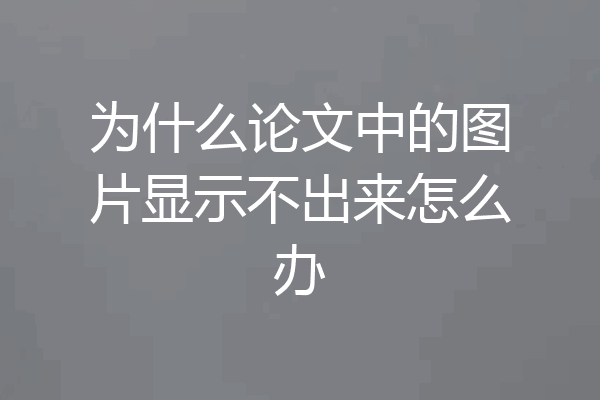 为什么论文中的图片显示不出来怎么办