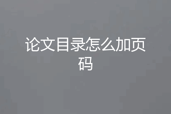 论文目录怎么加页码