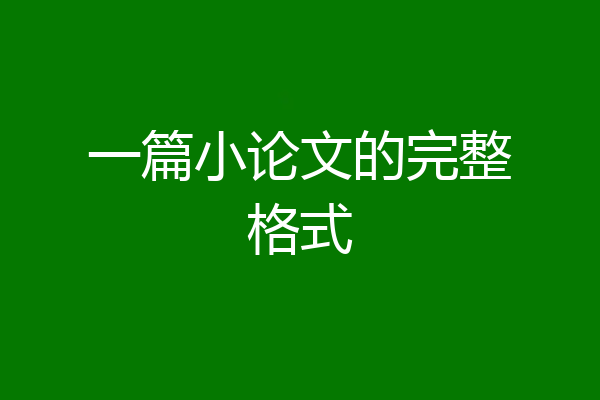 一篇小论文的完整格式