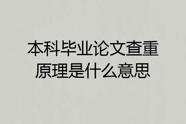 本科毕业论文查重原理是什么意思
