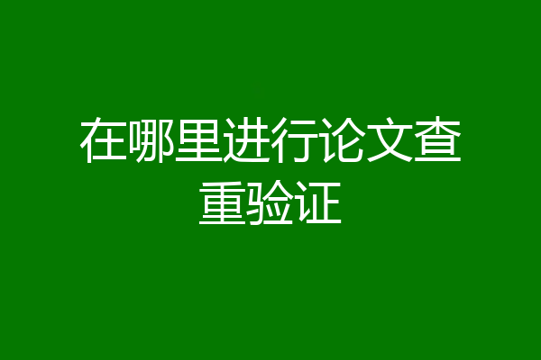 在哪里进行论文查重验证