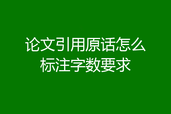 论文引用原话怎么标注字数要求