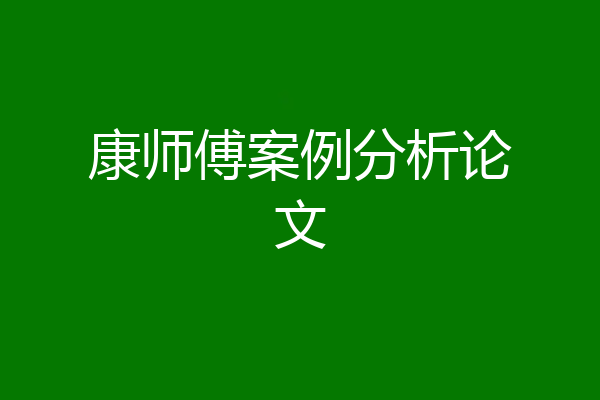 康师傅案例分析论文