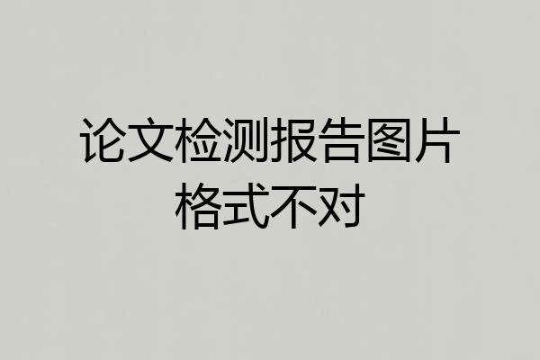 论文检测报告图片格式不对