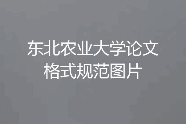东北农业大学论文格式规范图片