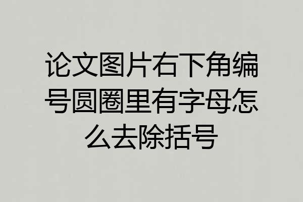 论文图片右下角编号圆圈里有字母怎么去除括号