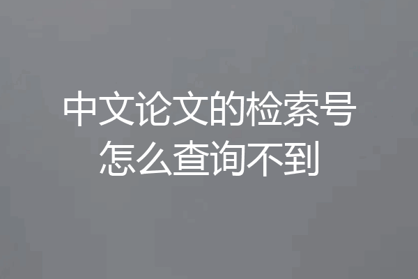 中文论文的检索号怎么查询不到