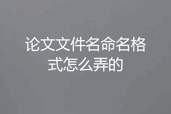 论文文件名命名格式怎么弄的
