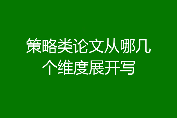 策略类论文从哪几个维度展开写