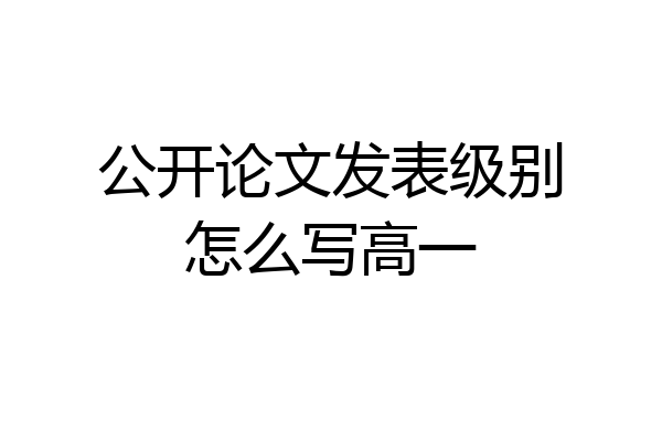公开论文发表级别怎么写高一