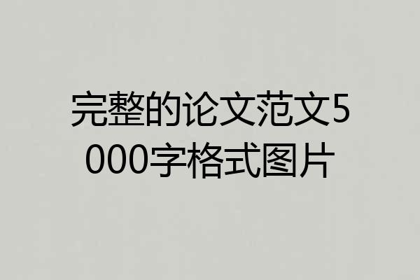 完整的论文范文5000字格式图片