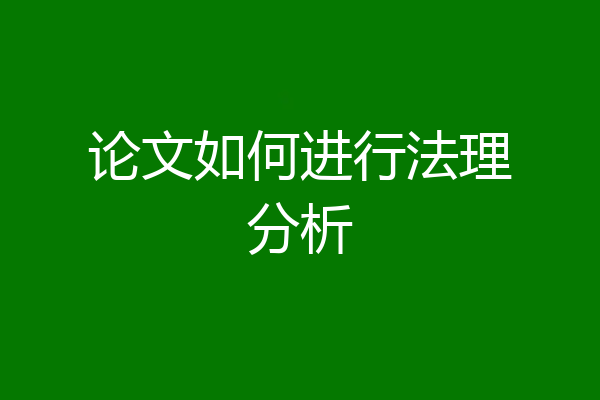 论文如何进行法理分析