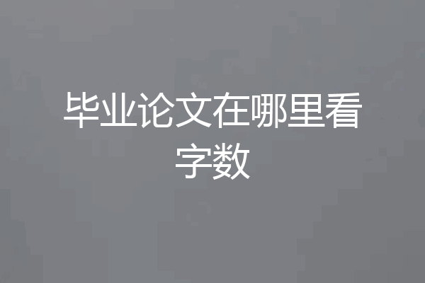 毕业论文在哪里看字数