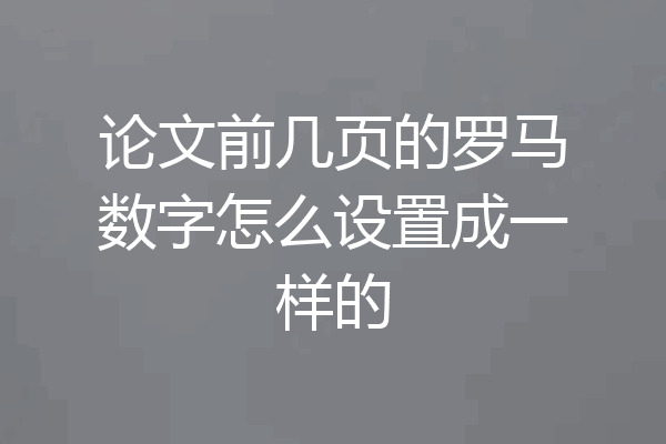 论文前几页的罗马数字怎么设置成一样的