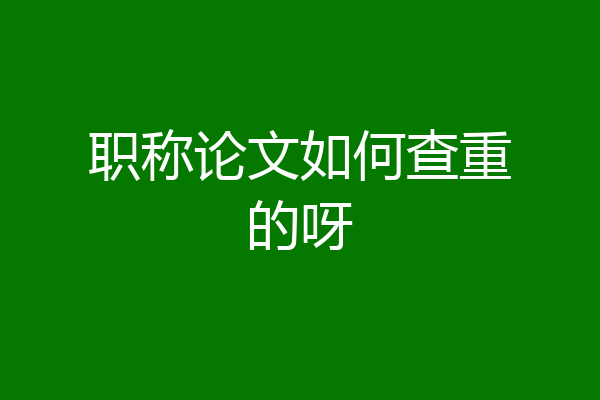 职称论文如何查重的呀