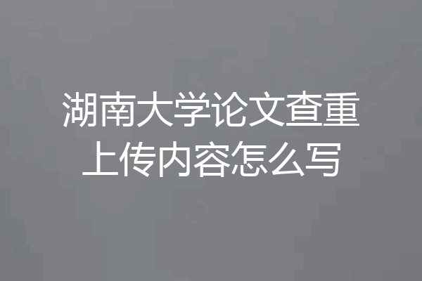 湖南大学论文查重上传内容怎么写