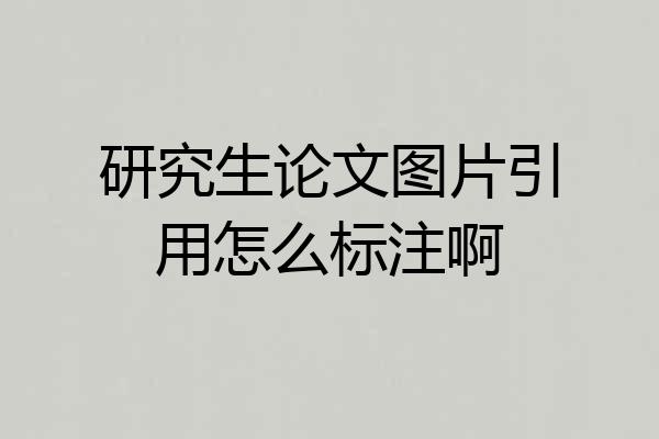 研究生论文图片引用怎么标注啊