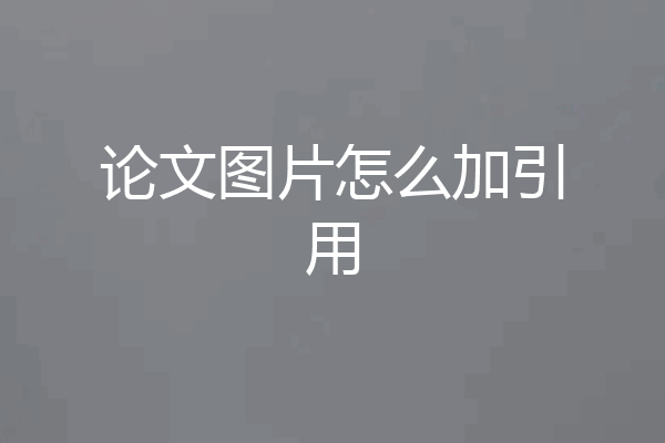 论文图片怎么加引用