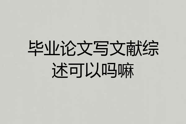 毕业论文写文献综述可以吗嘛