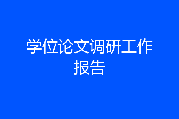 学位论文调研工作报告
