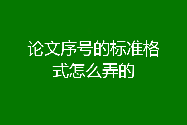 论文序号的标准格式怎么弄的