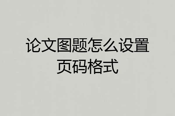 论文图题怎么设置页码格式